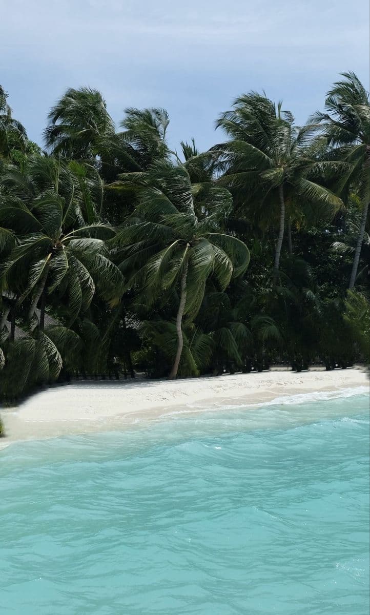 tropic